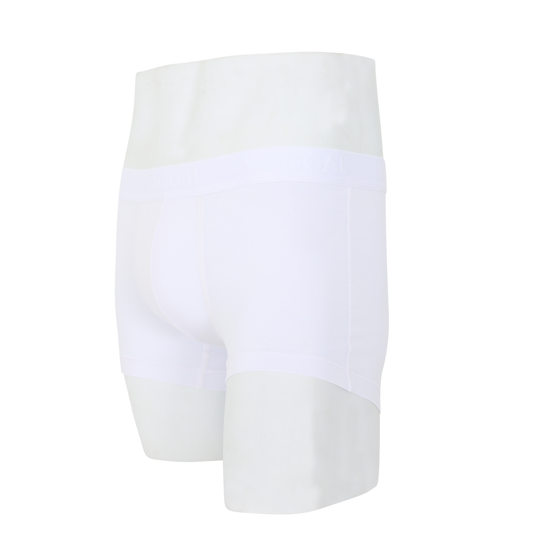 Wacoal กางเกงในผู้ชาย BAMBOO FILAGEN (BOXER) รุ่น WXU407 สีขาว (WH)