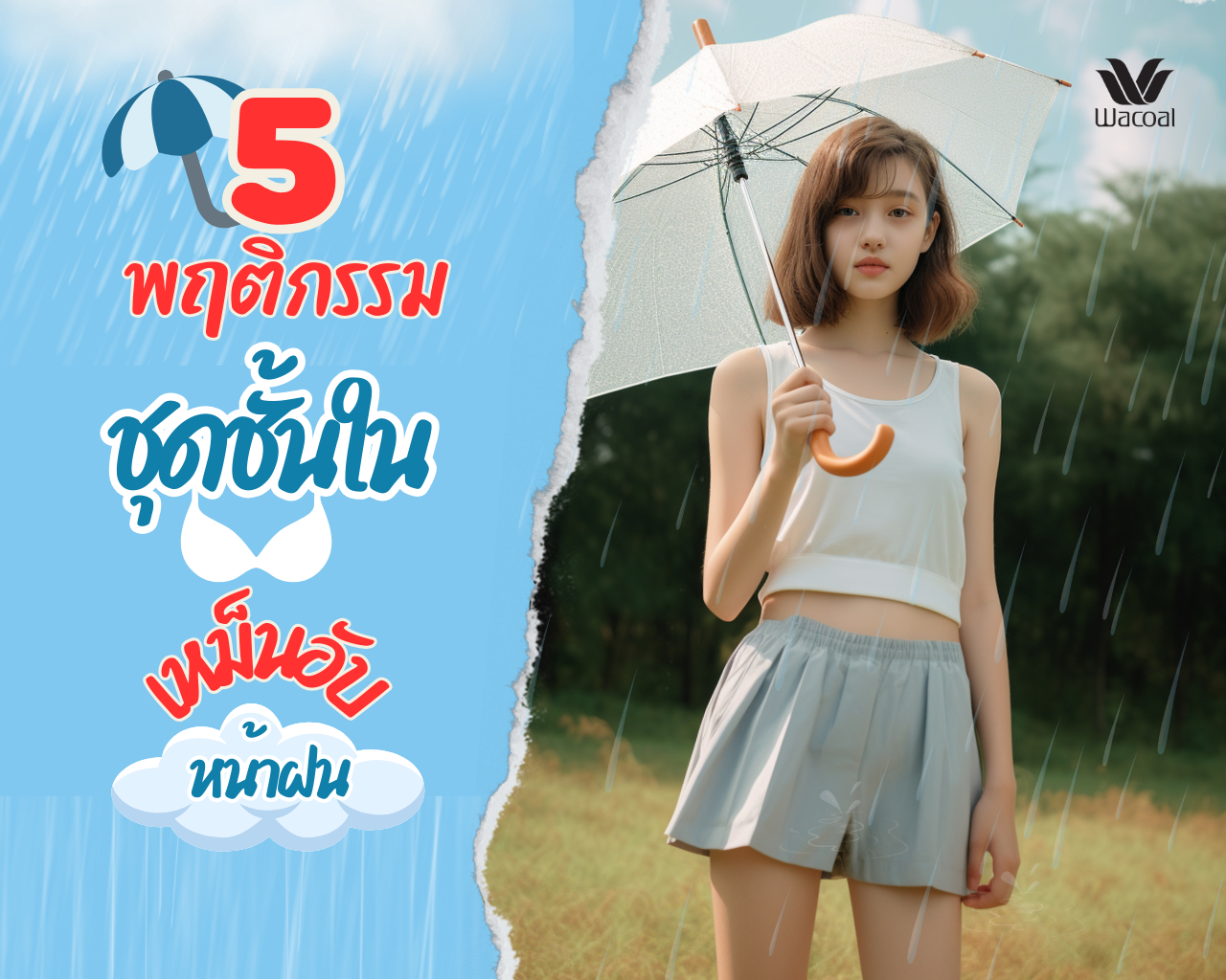 ชุดชั้นในเหม็นอับหน้าฝน