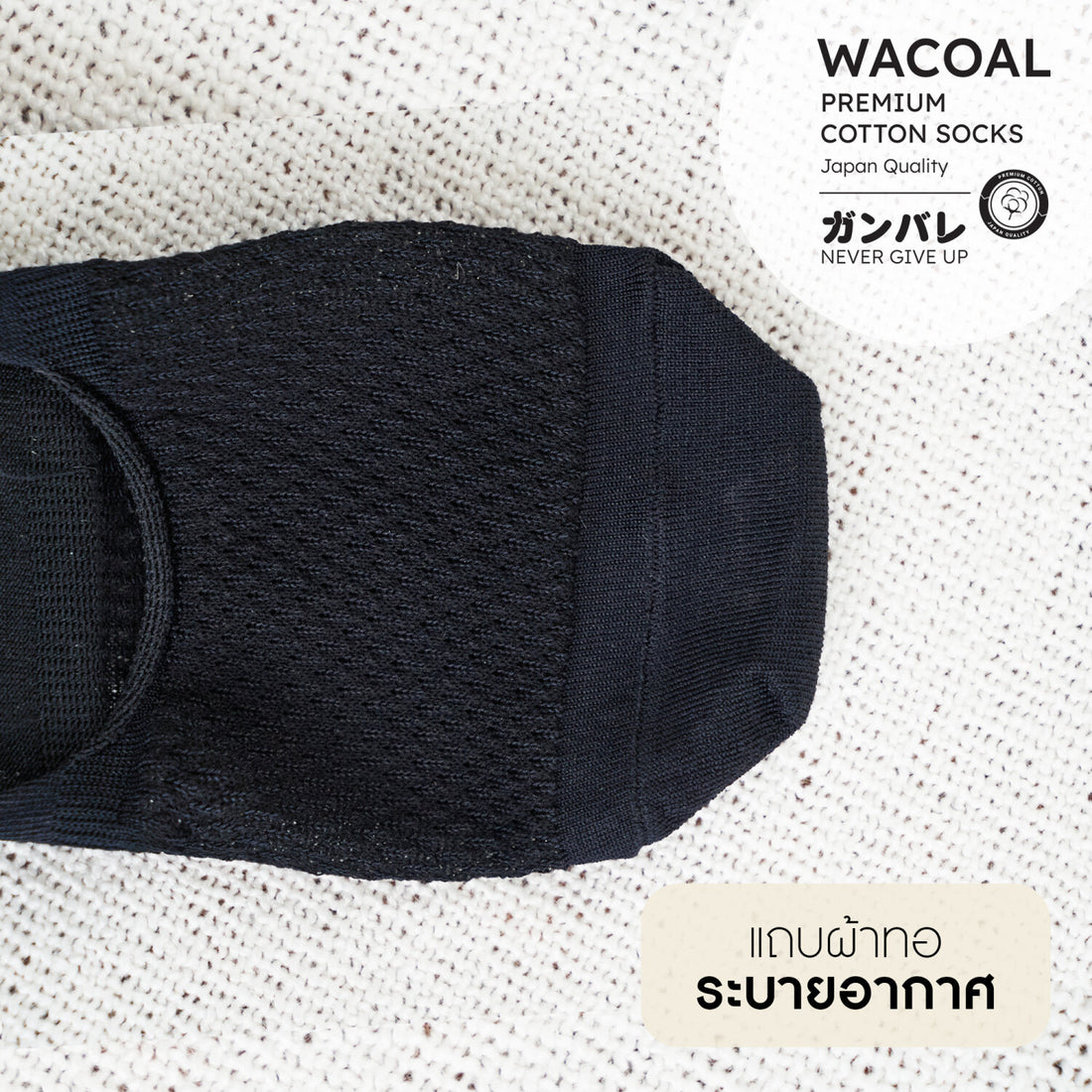 ถุงเท้าซ่อนข้อ ถุงเท้าข้อเว้า Premium Cotton Socks Selected by Wacoal รุ่น WW110400 สีดำ (BL)