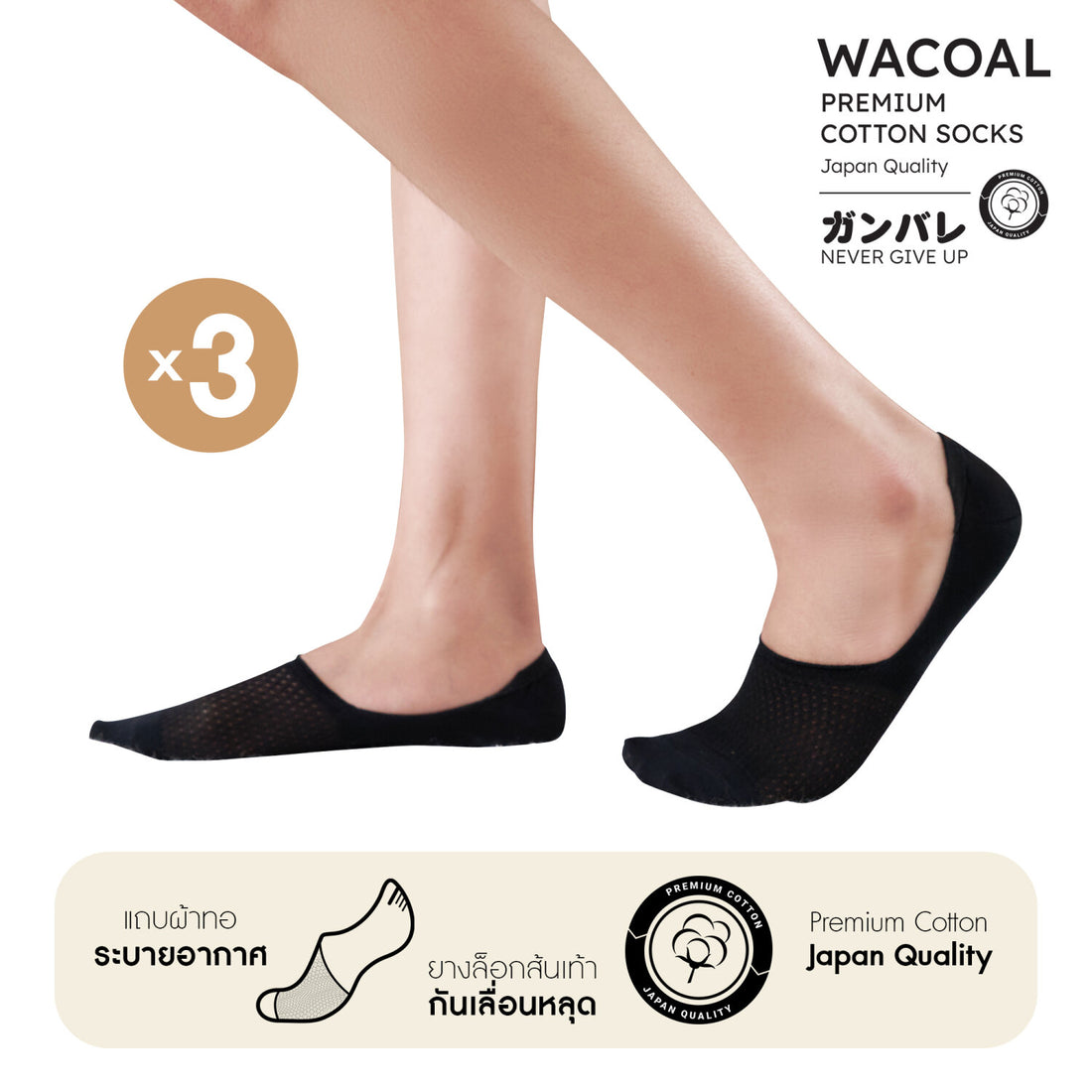 hidden socks Premium Cotton Socks Selected by Wacoal Set 3 pcs : WW110400 Black (BL)